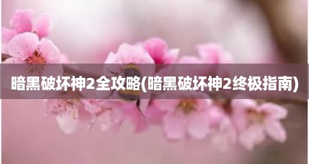 暗黑破坏神2全攻略(暗黑破坏神2终极指南)