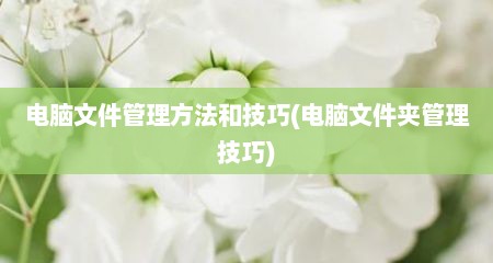 电脑文件管理方法和技巧(电脑文件夹管理技巧)