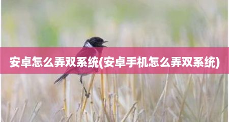 安卓怎么弄双系统(安卓手机怎么弄双系统)