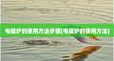 电磁炉的使用方法步骤(电磁炉的使用方法)