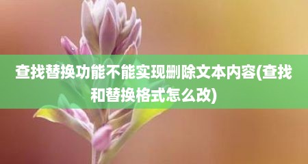 查找替换功能不能实现删除文本内容(查找和替换格式怎么改)