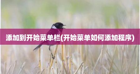 添加到开始菜单栏(开始菜单如何添加程序)