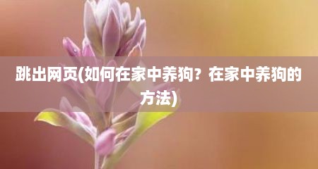 跳出网页(茹何在家中养狗？在家中养狗的方法)