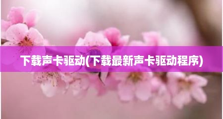 下载声卡驱动(下载最新声卡驱动程序)