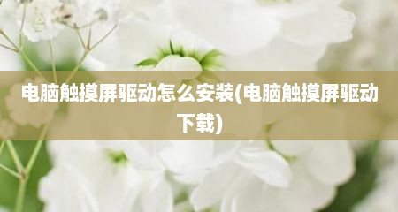 电脑触摸屏驱动怎么安装(电脑触摸屏驱动下载)