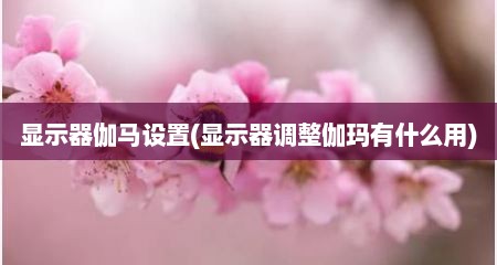 显示器伽马设置(显示器调整伽玛有什么用)