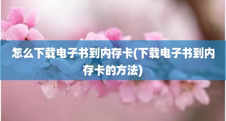 怎么下载电子书到内存卡(下载电子书到内存卡的方法)