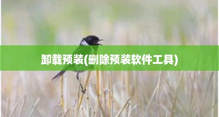 卸载预装(删除预装软件工具)