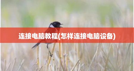 连接电脑教程(怎样连接电脑设备)