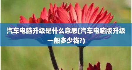 汽车电脑升级是什么意思(汽车电脑版升级一般多少钱?)