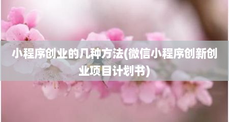 小程序创业的几种方法(微信小程序创新创业项目计划书)