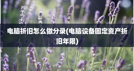 电脑折旧怎么做分录(电脑设备固定资产折旧年限)