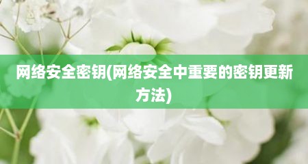 网络安全密钥(网络安全中重要的密钥更新方法)