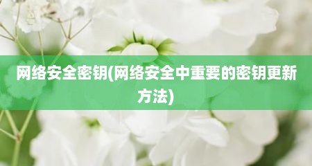 网络安全密钥(网络安全中重要的密钥十分新方法)