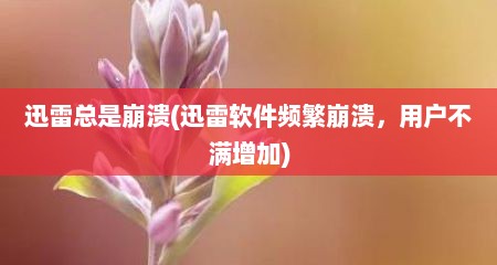 迅雷总是崩溃(迅雷软件频繁崩溃，用户不满增加)