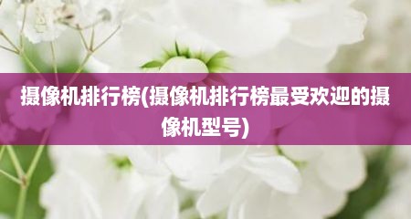 摄像机排行榜(摄像机排行榜最受欢迎的摄像机型号)