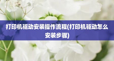 打印机驱动安装操作流程(打印机驱动怎么安装步骤)
