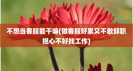 不想当客服能干嘛(做客服好累又不敢辞职担心不好找工作)