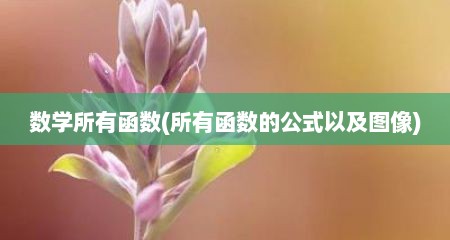 数学所有函数(所有函数的公式以及图像)