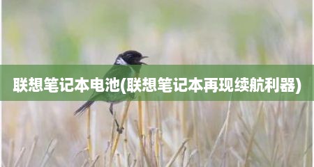 联想笔记本电池(联想笔记本再现续航利器)