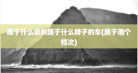属于什么级别属于什么牌子的车(属于哪个档次)