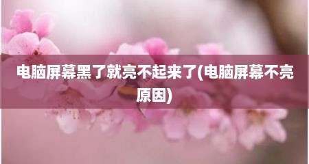 电脑屏幕黑了就亮不起来了(电脑屏幕不亮原因)