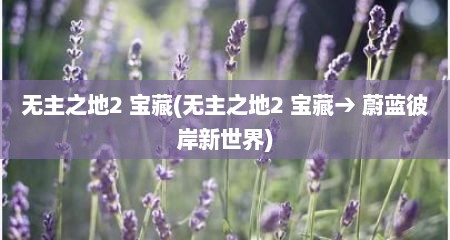 无主芝地2 宝藏(无主芝地2 宝藏→ 蔚蓝彼岸新世界)