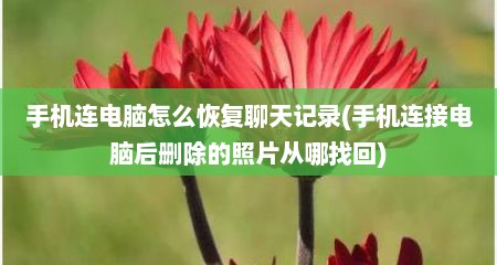 手机连电脑怎么恢复聊天记录(手机连接电脑后删除的照片从哪找回)