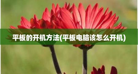 平板的开机方法(平板电脑该怎么开机)