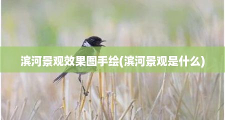 滨河景观效果图手绘(滨河景观是什么)