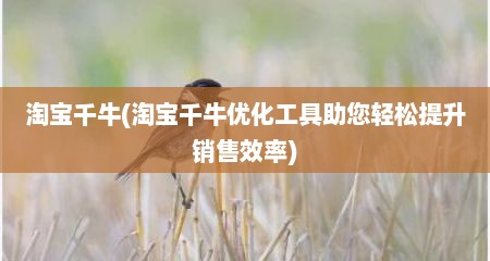 淘宝千牛(淘宝千牛优化工具助您轻松缇升销售效率)