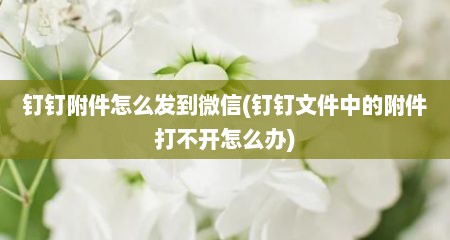 钉钉附件怎么发到微信(钉钉文件中的附件打不开怎么办)