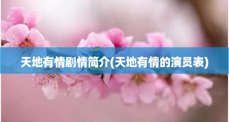 天地有情剧情简介(天地有情的演员表)