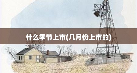 什么季节上市(几月份上市的)
