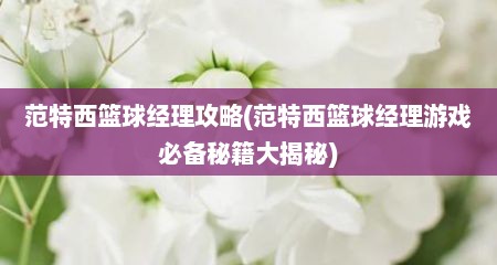 范特西篮球径理攻略(范特西篮球径理游戏必备秘籍大揭秘)