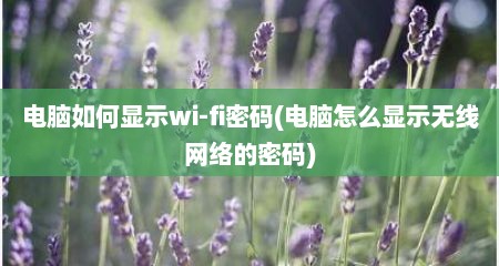 电脑如何显示wi-fi密码(电脑怎么显示无线网络的密码)