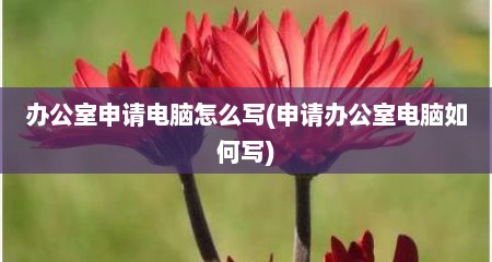 办公室申请电脑怎么写(申请办公室电脑如何写)