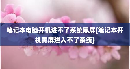笔记本电脑开机进不了系统黑屏(笔记本开机黑屏进入不了系统)
