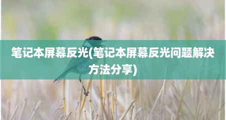 笔记本屏幕反光(笔记本屏幕反光问题解决方法分享)