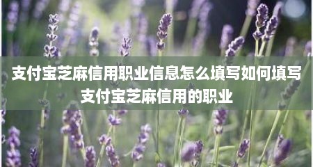 支付宝芝麻信用职业信息怎么填写如何填写支付宝芝麻信用的职业