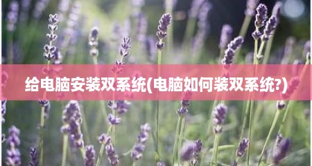 给电脑安装双系统(电脑如何装双系统?)