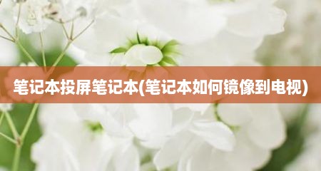 笔记本投屏笔记本(笔记本如何镜像到电视)