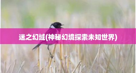 迷之幻域(神秘幻境探索未知世界)