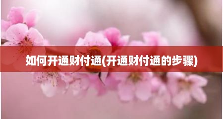 如何开通财付通(开通财付通的步骤)