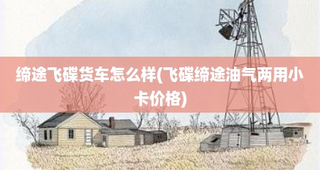 缔途飞碟货车怎么样(飞碟缔途油气两用小卡价格)