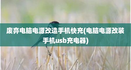 废弃电脑电源改造手机快充(电脑电源改装手机usb充电器)