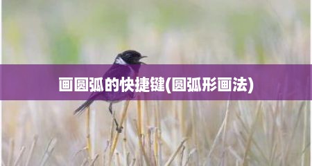 画圆弧的快捷键(圆弧形画法)