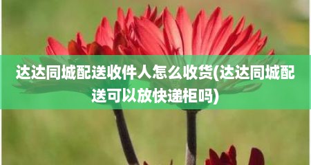 达达同城配送收件人怎么收货(达达同城配送可以放快递柜吗)