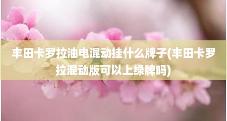 丰田卡罗拉油电混动挂什么牌子(丰田卡罗拉混动版可以上绿牌吗)