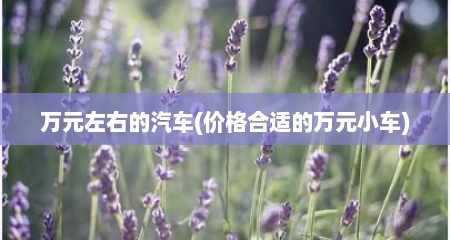 万元左右的汽车(价格合适的万元小车)